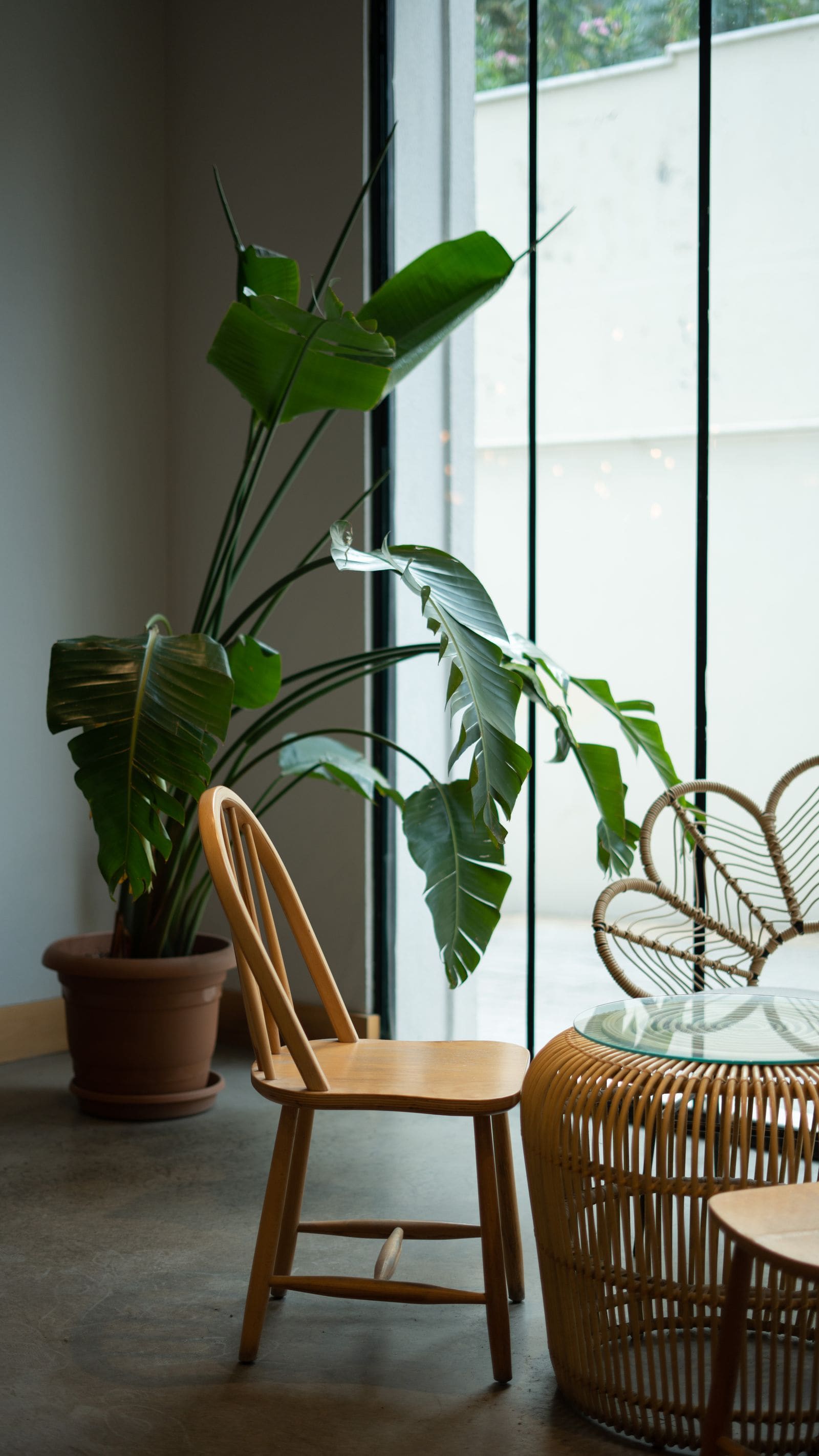 Minimalist cafe interior design