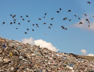 D-Lab: Waste