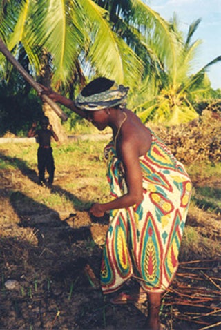 Gender, Power, and International Development