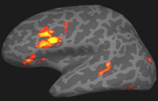 Human Memory and Learning