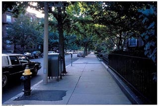 Revitalizing Urban Main Streets: Mission Hill & Egleston Square, Boston